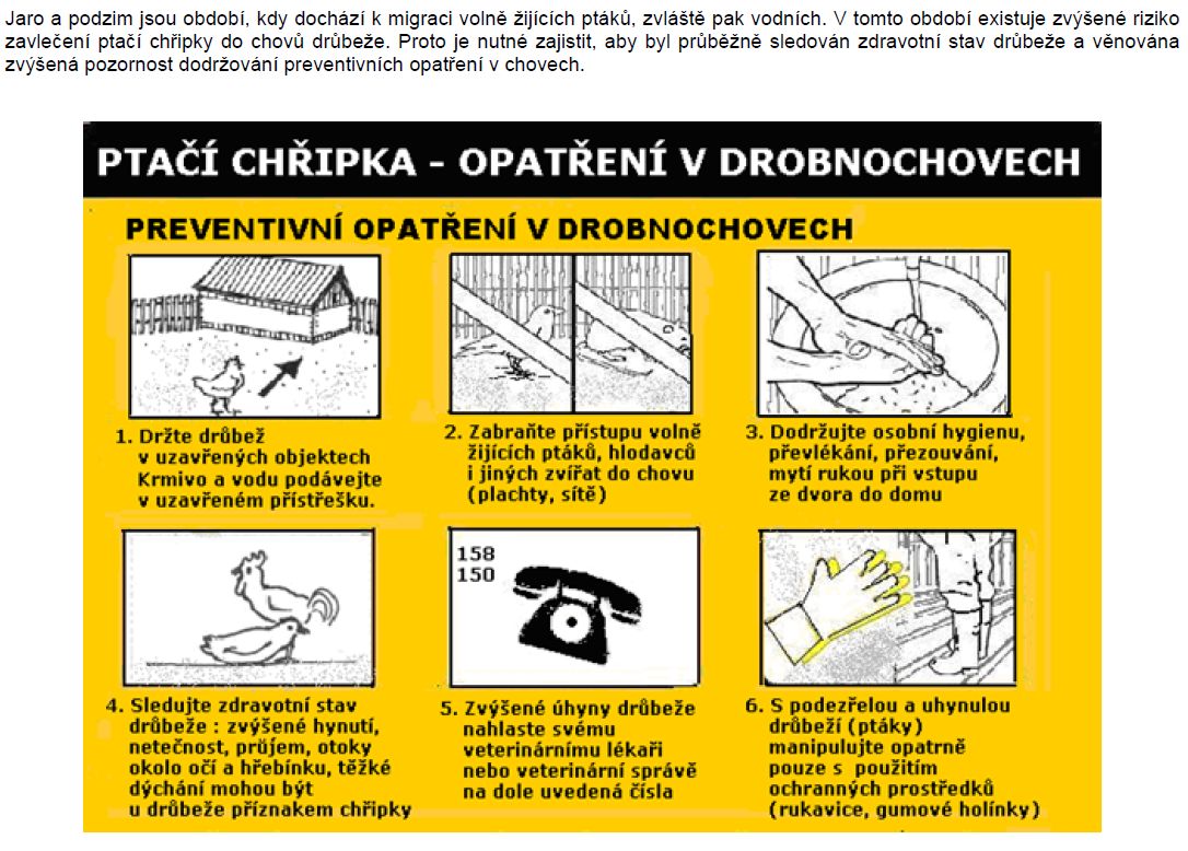ptačí chřipka_leták.jpg